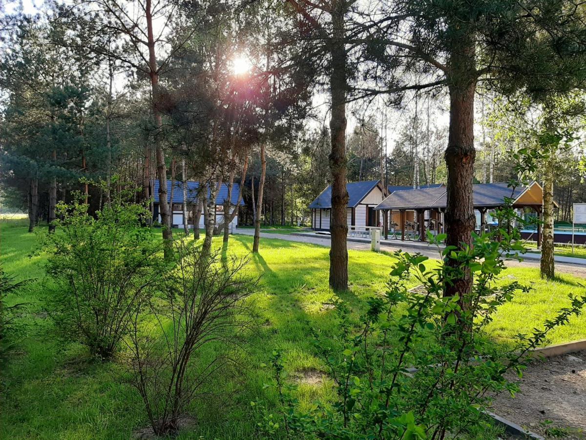 Osrodek Wypoczynkowy Lubu Dubu Otel Dankow Dış mekan fotoğraf